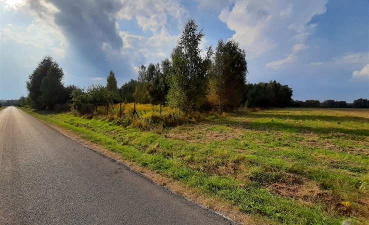 działka na sprzedaż - Żabia Wola, Zaręby