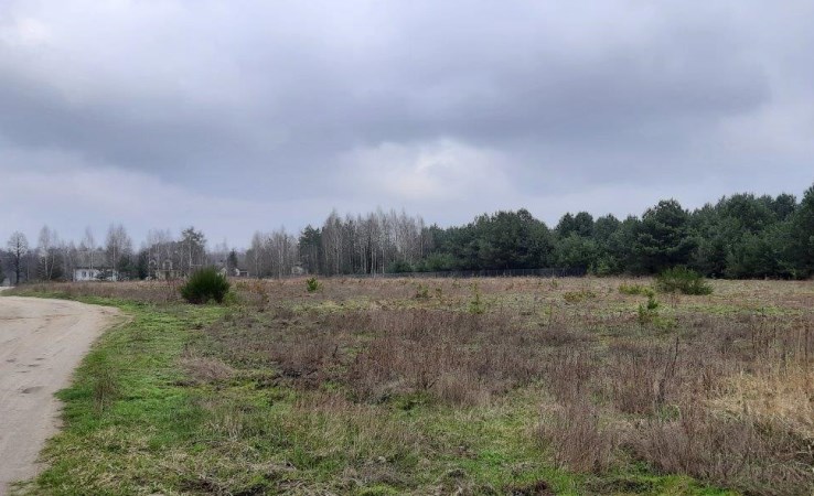 działka na sprzedaż - Żabia Wola, Grzegorzewice