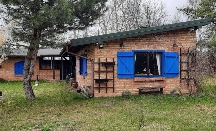 działka na sprzedaż - Żabia Wola, Zaręby