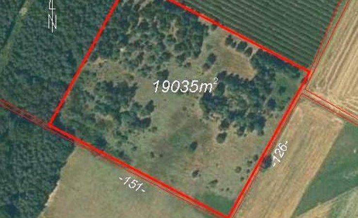 działka na sprzedaż - Mszczonów (gw), Piekarowo, Graniczna