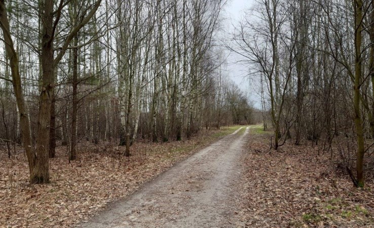 działka na sprzedaż - Żabia Wola, Słubica-Wieś