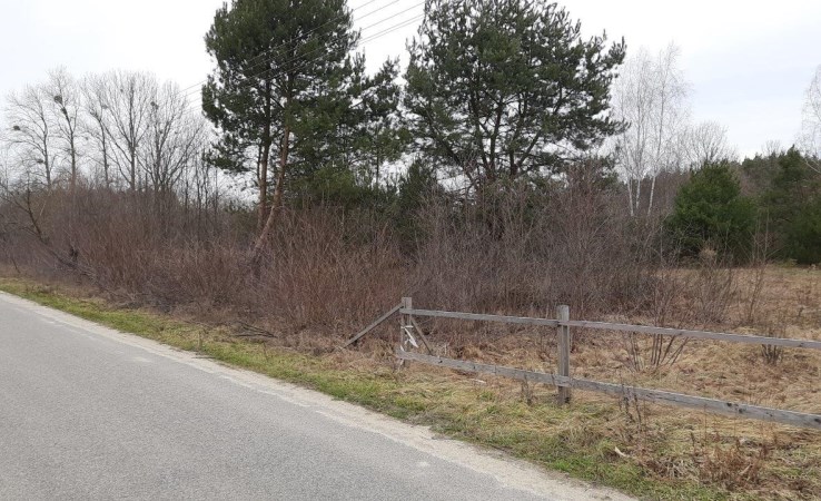 działka na sprzedaż - Żabia Wola, Petrykozy