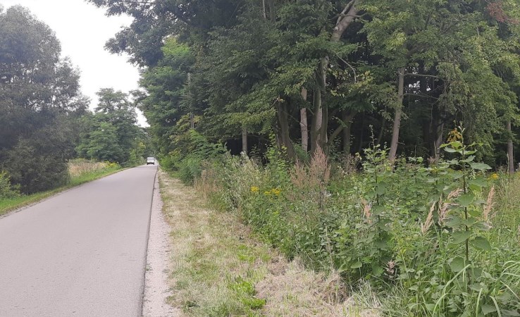 działka na sprzedaż - Puszcza Mariańska, Aleksandria