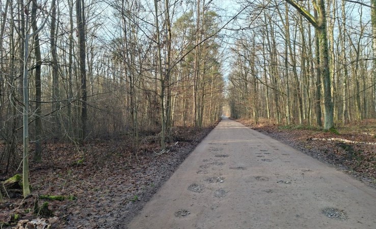 działka na sprzedaż - Radziejowice