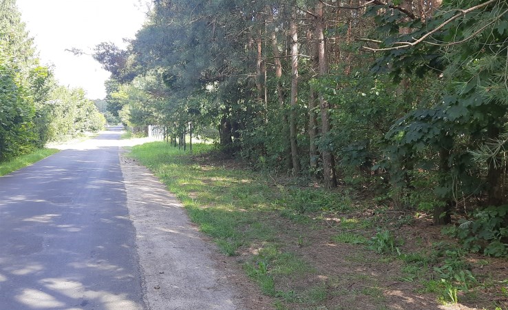 działka na sprzedaż - Żabia Wola, Grzegorzewice