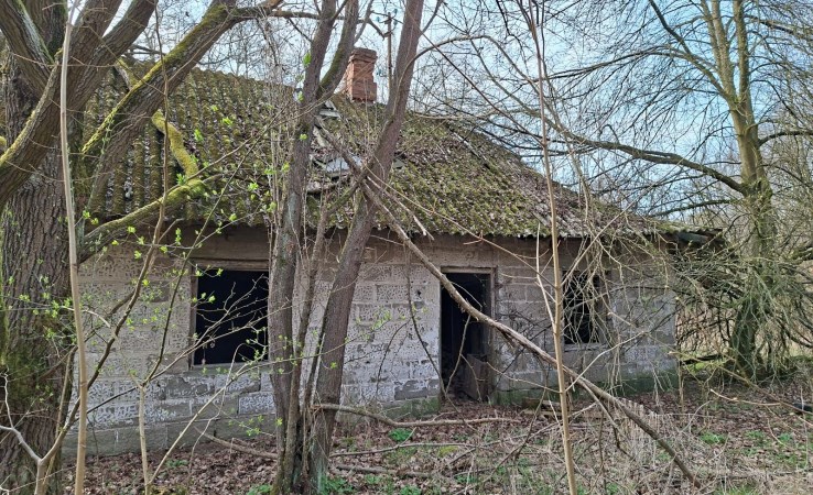 działka na sprzedaż - Żabia Wola, Oddział