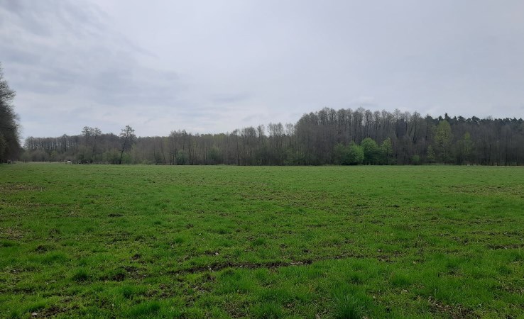 działka na sprzedaż - Nadarzyn, Rozalin