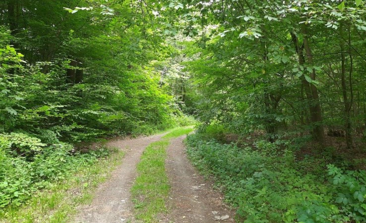 działka na sprzedaż - Żabia Wola, Słubica A