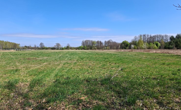 działka na sprzedaż - Puszcza Mariańska, Aleksandria